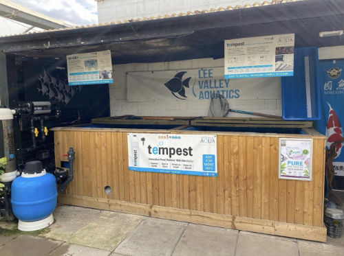 Pond fish tanks and equipment at Lee Valley Aquatics