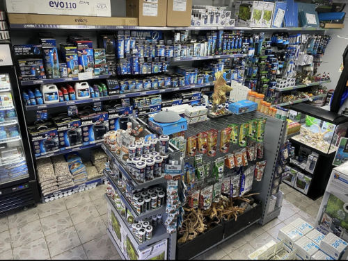 Aquatic food, treatments and accessories inside the shop
